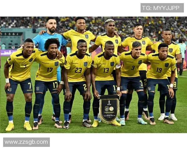 2019年阿根廷与厄瓜多尔激战回顾：精彩瞬间与赛后分析