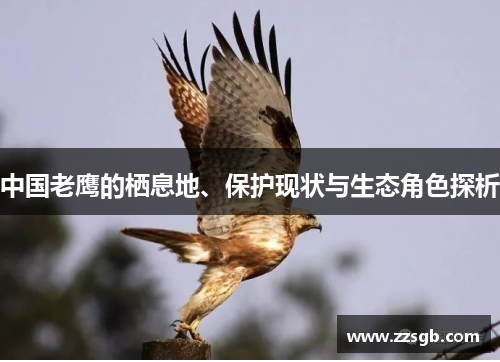 中国老鹰的栖息地、保护现状与生态角色探析
