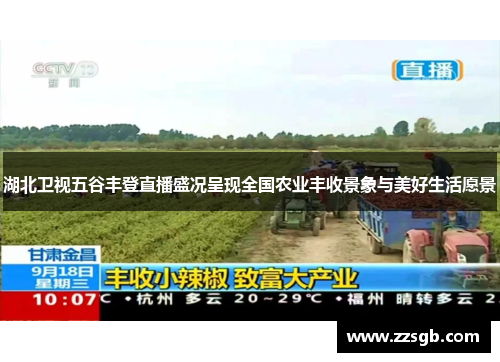 湖北卫视五谷丰登直播盛况呈现全国农业丰收景象与美好生活愿景
