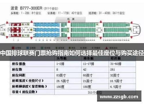 中国排球联赛门票抢购指南如何选择最佳座位与购买途径