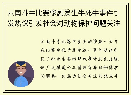 云南斗牛比赛惨剧发生牛死牛事件引发热议引发社会对动物保护问题关注